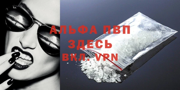 прущие грибы Верея