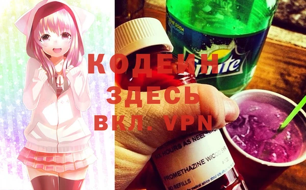 прущие грибы Верея