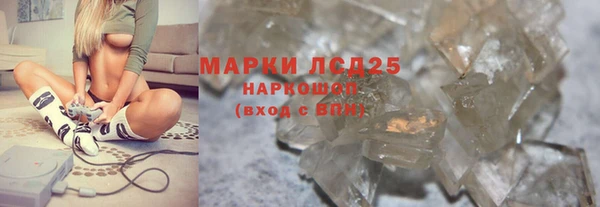 прущие грибы Верея