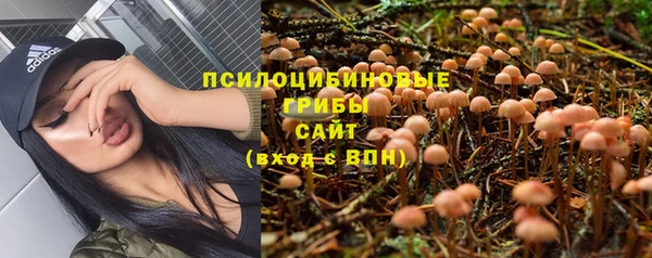 твердый Верхний Тагил