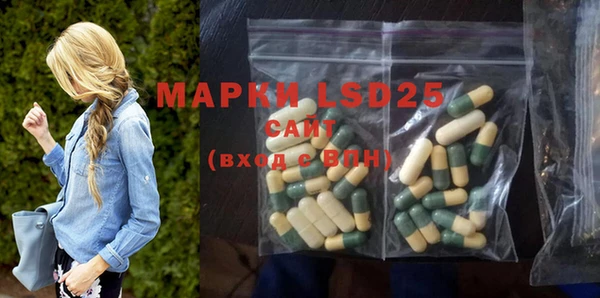 прущие грибы Верея