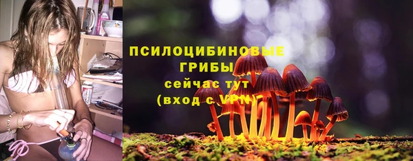 твердый Верхний Тагил
