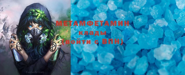 прущие грибы Верея